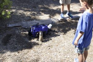 2015_trip2_groundsquirrel