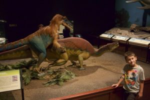 What are those dinosaurs doing?