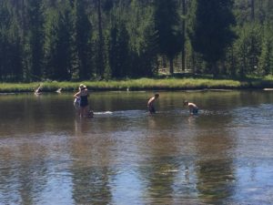 2016_trip3_swimming