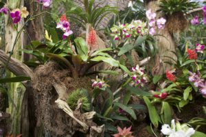 2016_trip4_gardens4